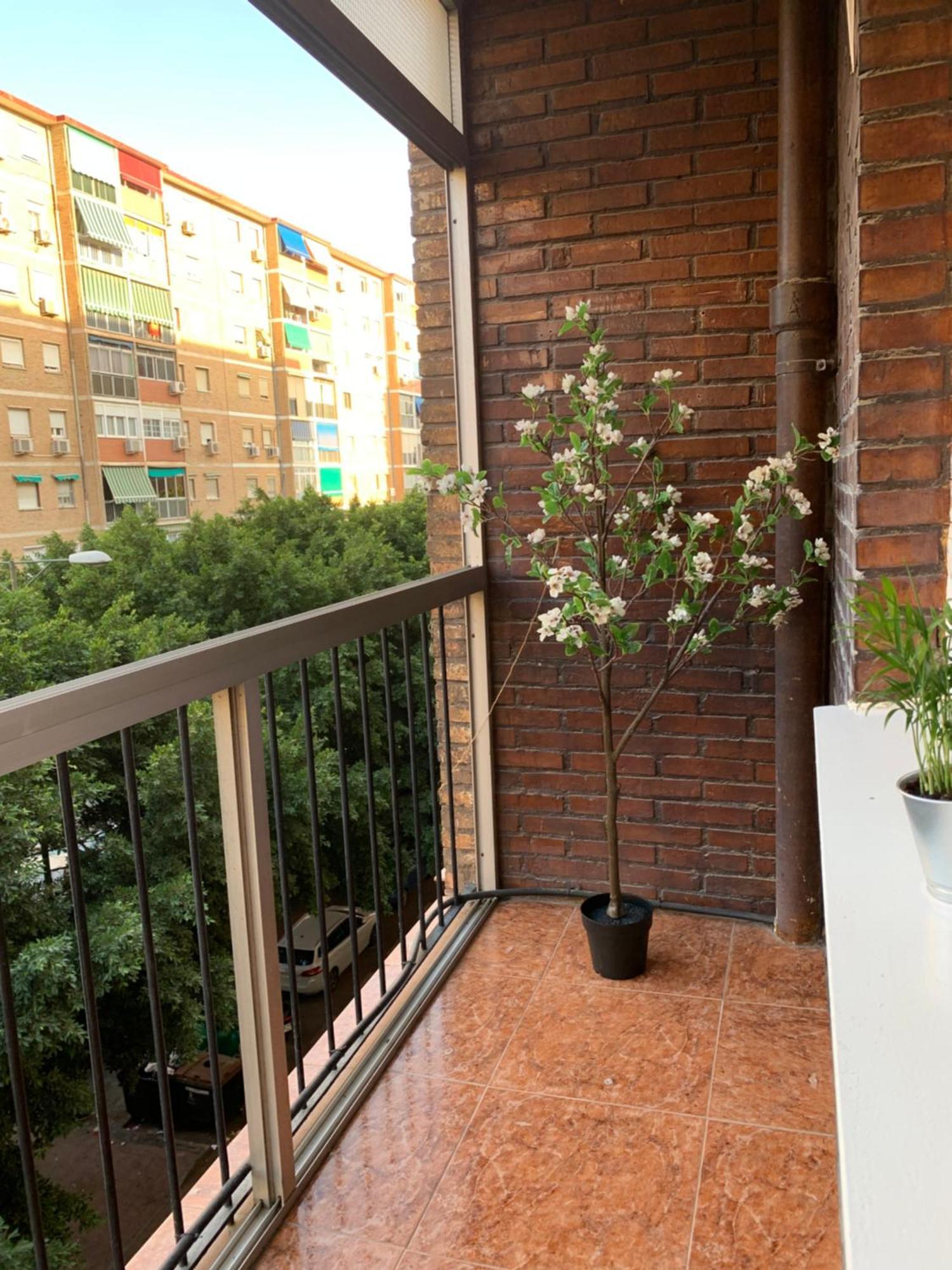 Bueno, Bonito Y Barato Daire Málaga Dış mekan fotoğraf